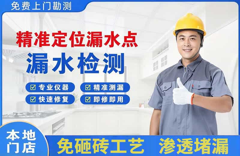 崇文精准测漏点